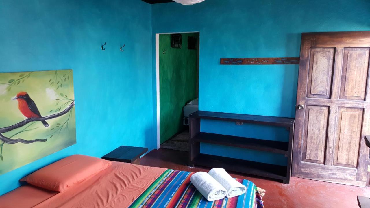 Galapagos Morning Glory Hostel Puerto Ayora  Exterior photo