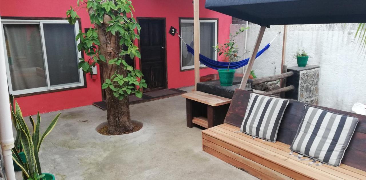 Galapagos Morning Glory Hostel Puerto Ayora  Exterior photo